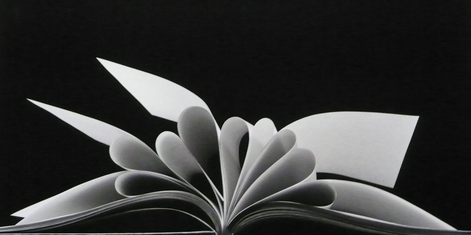 Ein aufgeschlagenes Buch, das von der Seite gezeigt wird. Einzelne Seitenblätter sind eingeschlagen.