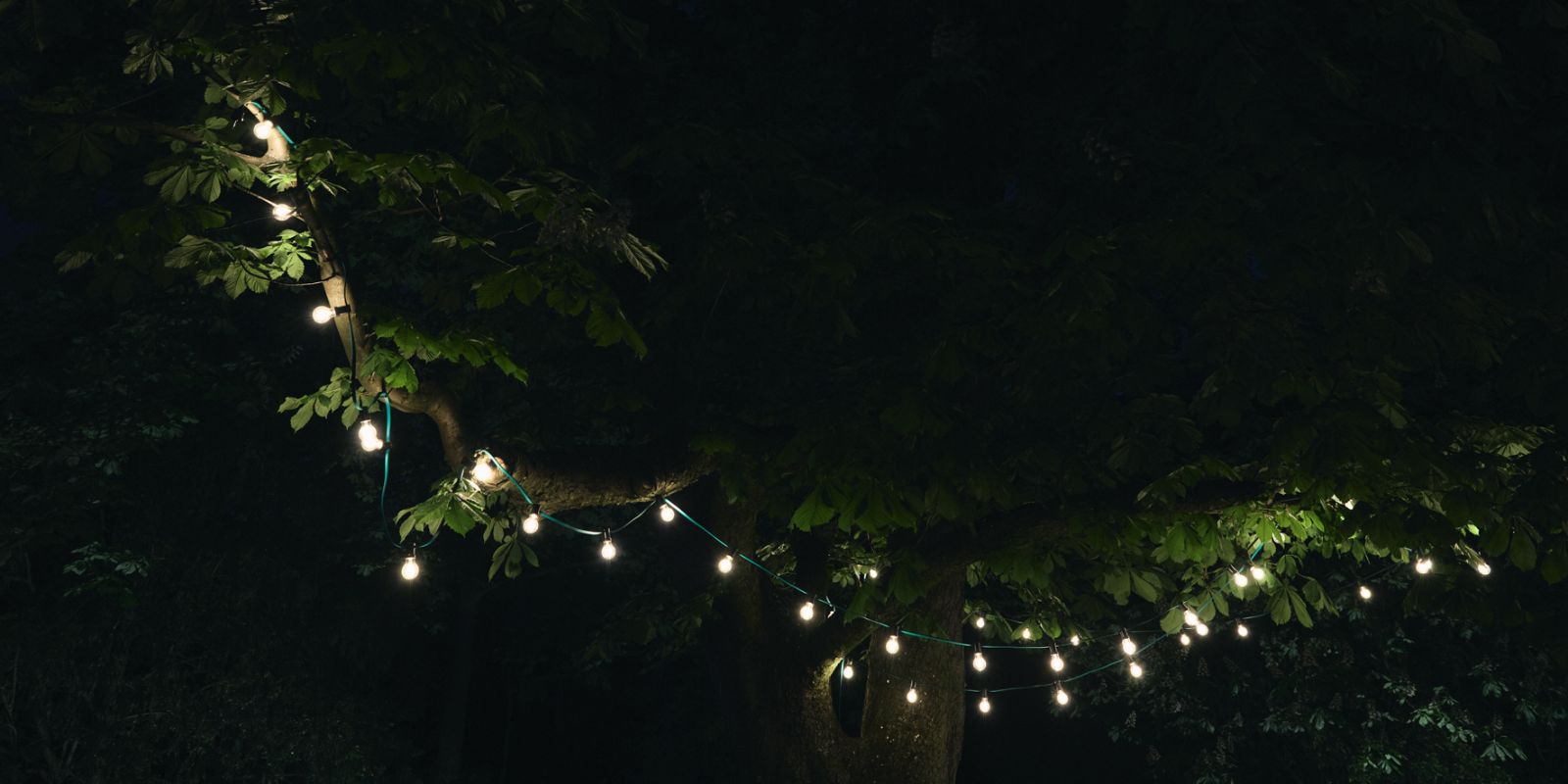 Eine leuchtende Lichterkette hängt bei Nacht in einem Baum.
