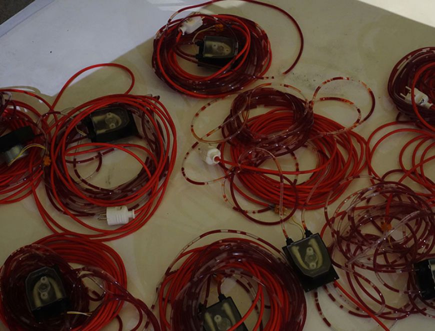 © Bastian Zimmermann