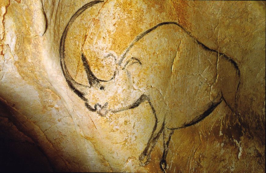 Höhlenmalerei, Rhinozeros, Chauvet-Höhle, Wollnashorn mit zwei Hörnern

