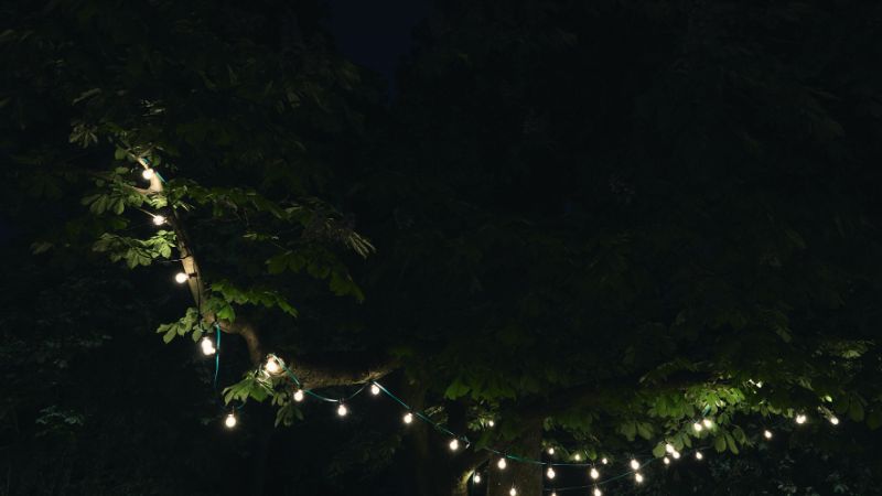 A glowing string of lights hangs in a tree at night.
